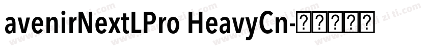 avenirNextLPro HeavyCn字体转换
